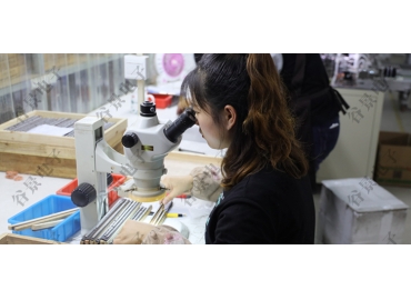 一體成型電感與普通電感的區(qū)別有哪些